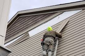 Professional Siding in Mogul, NV